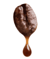 png-transparent-coffee-bean- png-transparent-coffee-bean-